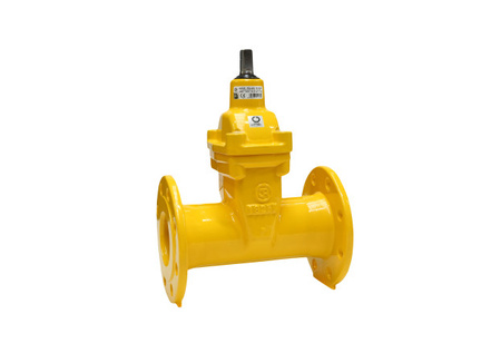 Gate valve, flange DN 150