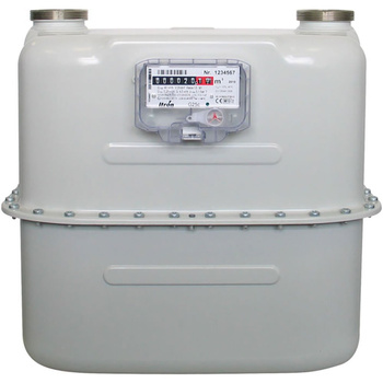 Gas meter G 25
