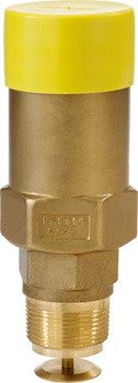 Safety valve ATSV5000 PS25 discharge pressure 15,6 bar